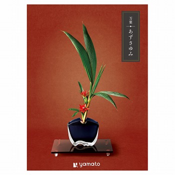 �J�^���O�M�t�g ���t ���������